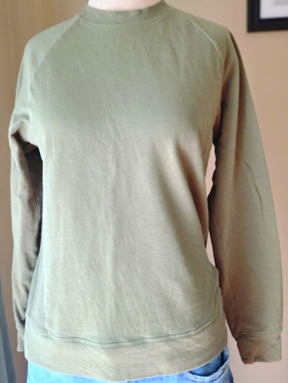 ThirdLove Olive Green Weekend Terry Raglan Crewneck Sweatshirt Pullover Top Smal